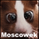 Аватар для Moscowek