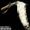 Аватар для quetzalcoatlus