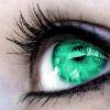 Аватар для greeneye