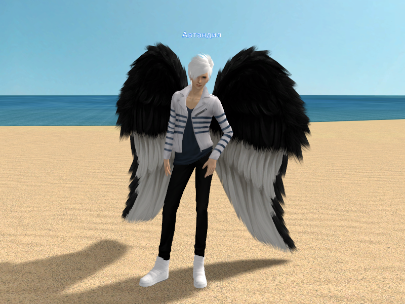 Черно-белые крылья печального ангела
