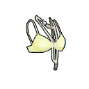 ������ ����� ����� (���.)