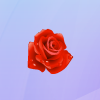 Алая роза 1.png