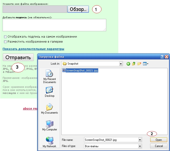Скрин разместить. Кнопка отправить файл. Как отправить файл в формате PNG. Как в файлах разместить Скриншот. Как отправить фото в формате PNG.