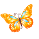 Butterfly-orange-icon.png